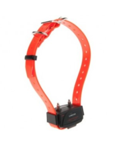 Num’axes: Dodatna ogrlica za dresuru za uređaje Canicom