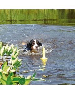 Trixie: Plutajuća igračka za pse Mot-Aqua