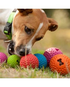 Rogz: Lopta sa otvorom za poslastice Gumz, plava