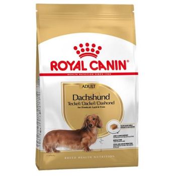 Royal Canin: Breed Nutrition Jazavičar