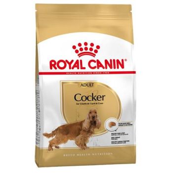 Royal Canin: Breed Nutrition Koker, 3 kg