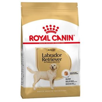 Royal Canin: Breed Nutrition Labrador