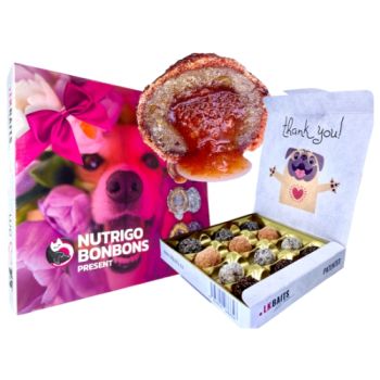 LK Bait Nutrigo: Ručno rađene premium poslastice za pse Bonbons Present